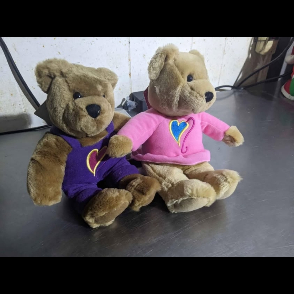 Hallmark Valentines Day Heart Love & Kiss Kiss Bears boy & girl With Tags